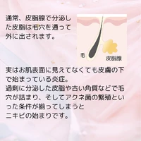 画像242