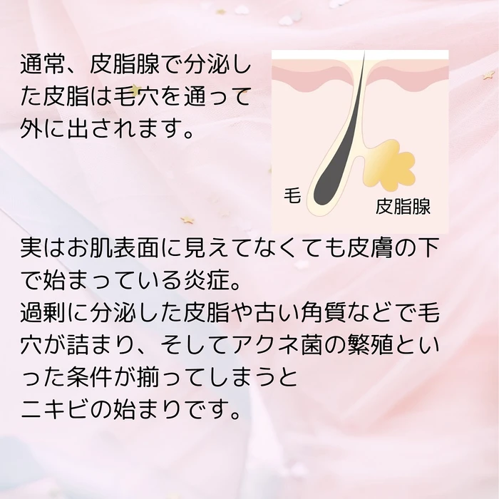 画像242