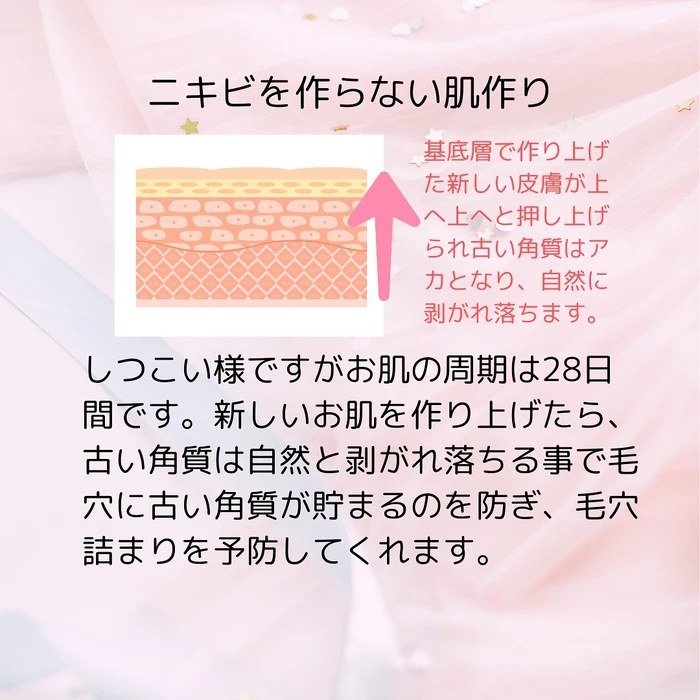 画像244