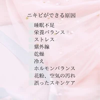 画像245
