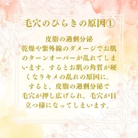 画像262