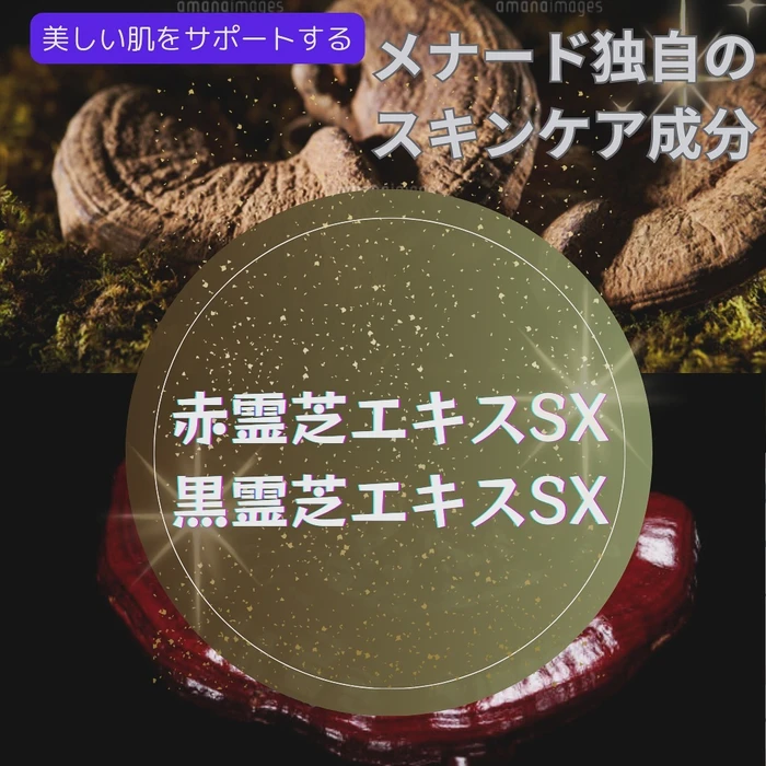画像298