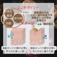 画像299