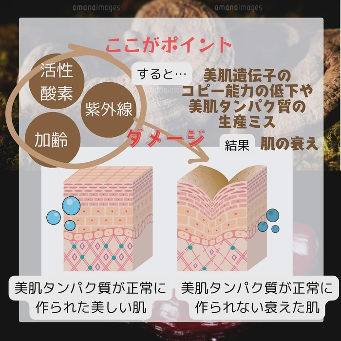 画像299