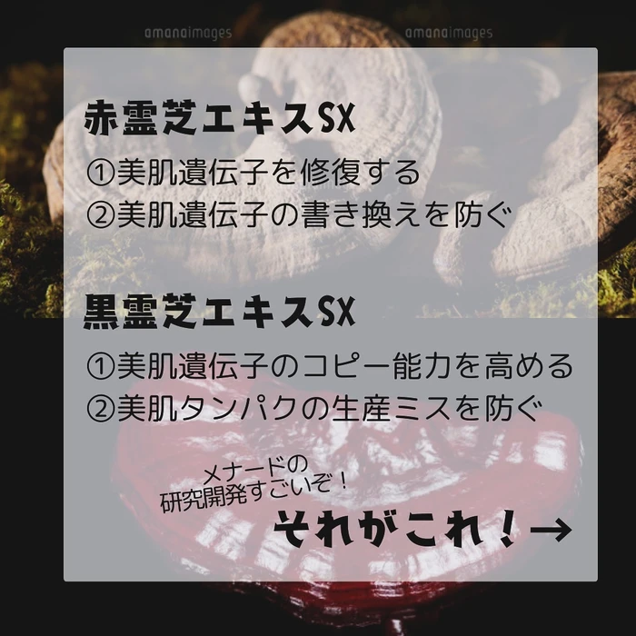 画像300