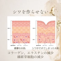 画像372