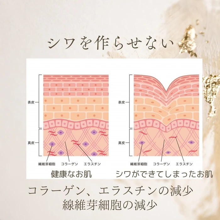画像372