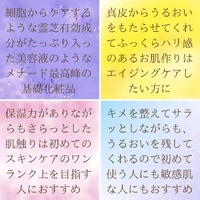 画像380
