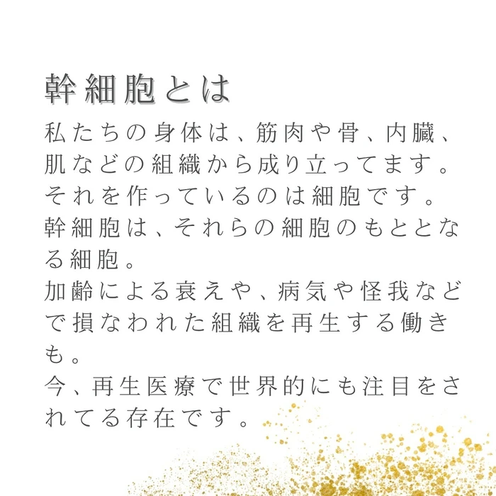画像389