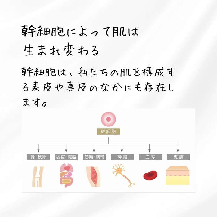 画像392