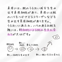 画像393