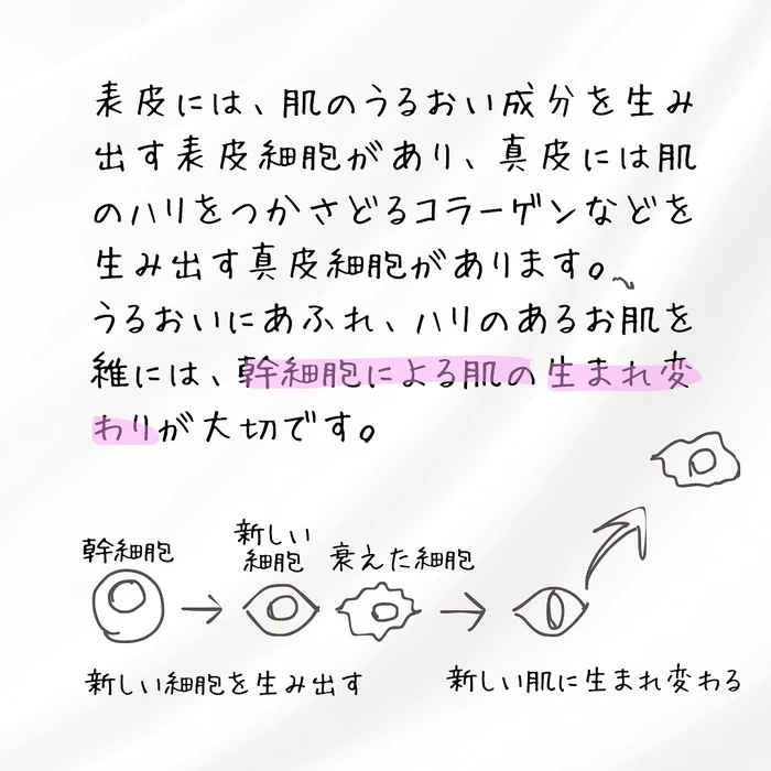 画像393