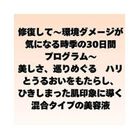 画像398