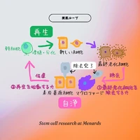 画像410