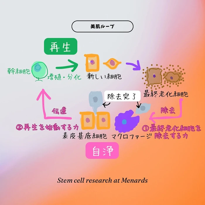 画像410