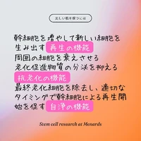 画像411