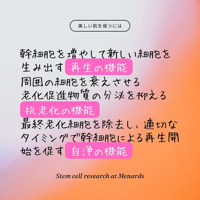 画像411